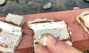 河道栏杆破损露出泡沫内芯?网友怀疑“豆腐渣”工程,相关方回应正核实