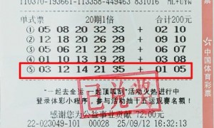 男子机选号擒大乐透1000万 因工作忙只打多期票